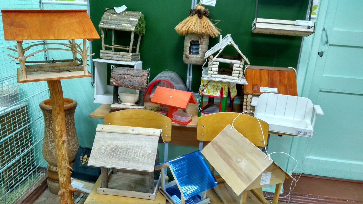 ПОДВЕДЕНЫ ИТОГИ ГОРОДСКОГО КОНКУРСА КОРМУШЕК ДЛЯ ПТИЦ. Номинация «Птичья столовая» 3 место – Булычева Милена 1 класс , 3 место – Думчева Валерия 2кл 
Номинация «Птичья столовая»  3 место – Самойлов Антон 6кл 
Номинация «Книга о птицах Ульяновской области»1 место – учащиеся 5кл