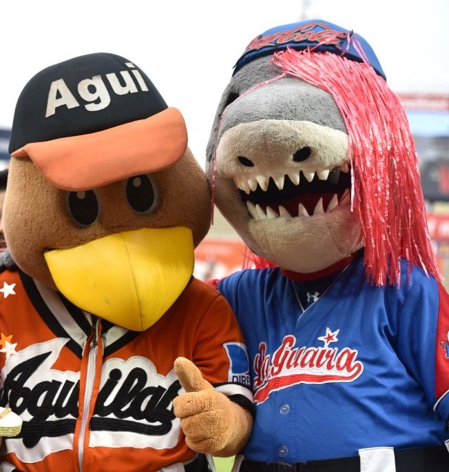 tiburonmusiu's tweet image. ¡Hoy es el día de La Chinita!
#Agui #Tibu #Mascotas #LVBP #Tiburones #PaENcima #LaGuaira