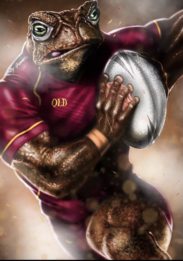 JMack075's tweet image. Queenslander Champions!!