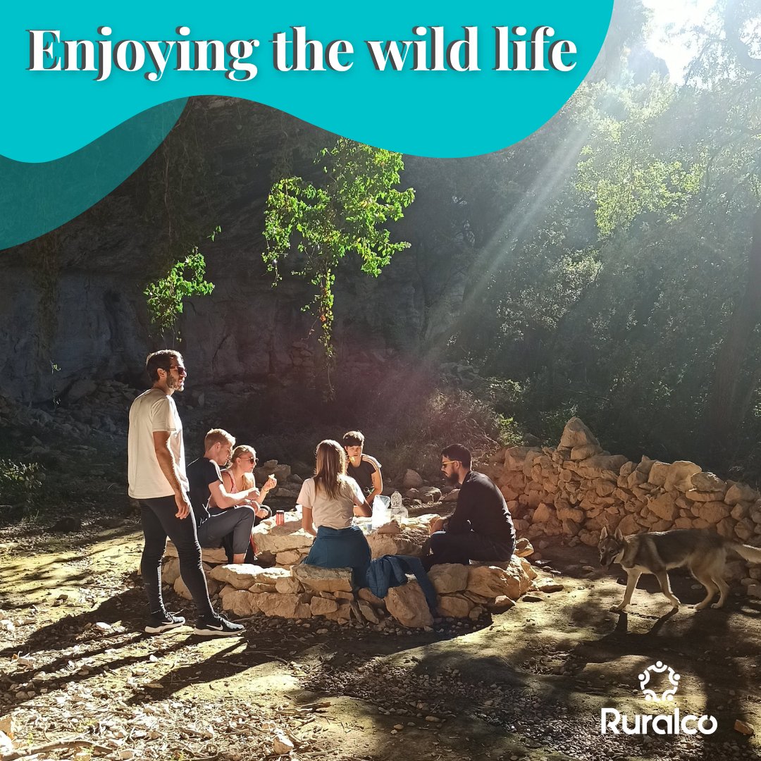 Ruralco_live's tweet photo. Enjoying the surroundings is something that we usually underestimate. But it is never too late!
We explore every corner that the nature offers us. Here you can see one of our favourite places. 🤩⛰️

#coliving #ruralcoliving #coworkingspain #workingremotely #colivingcommunity https://t.co/wGOHqkYabS