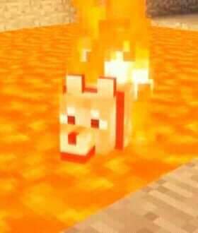 Picasso ? tweet media