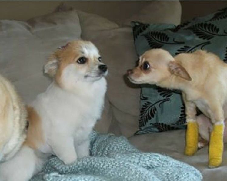 อย่าไปกดดันพี่เขาลูกกกก