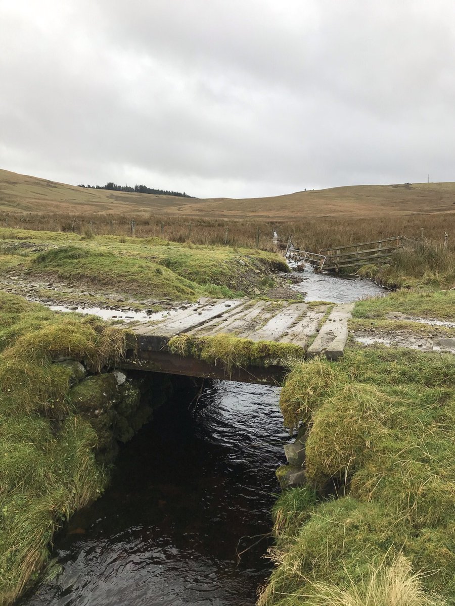 The Tweed Chronicles tweet media