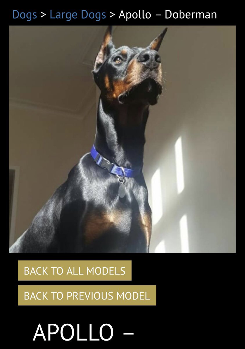 I am VERY disappointed to see @UrbanPawsuk &amp; <a href="/UP_Influencers/">UPOWERS | 海外インフルエンサー事務所</a> have ear cropped dogs on their website.

Cropping is illegal, it should never be promoted or highlighted. These dogs have been mutilated.

They should be removed immediately &amp; and no responsible company should use them.