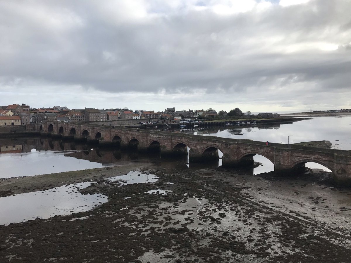 The Tweed Chronicles tweet media