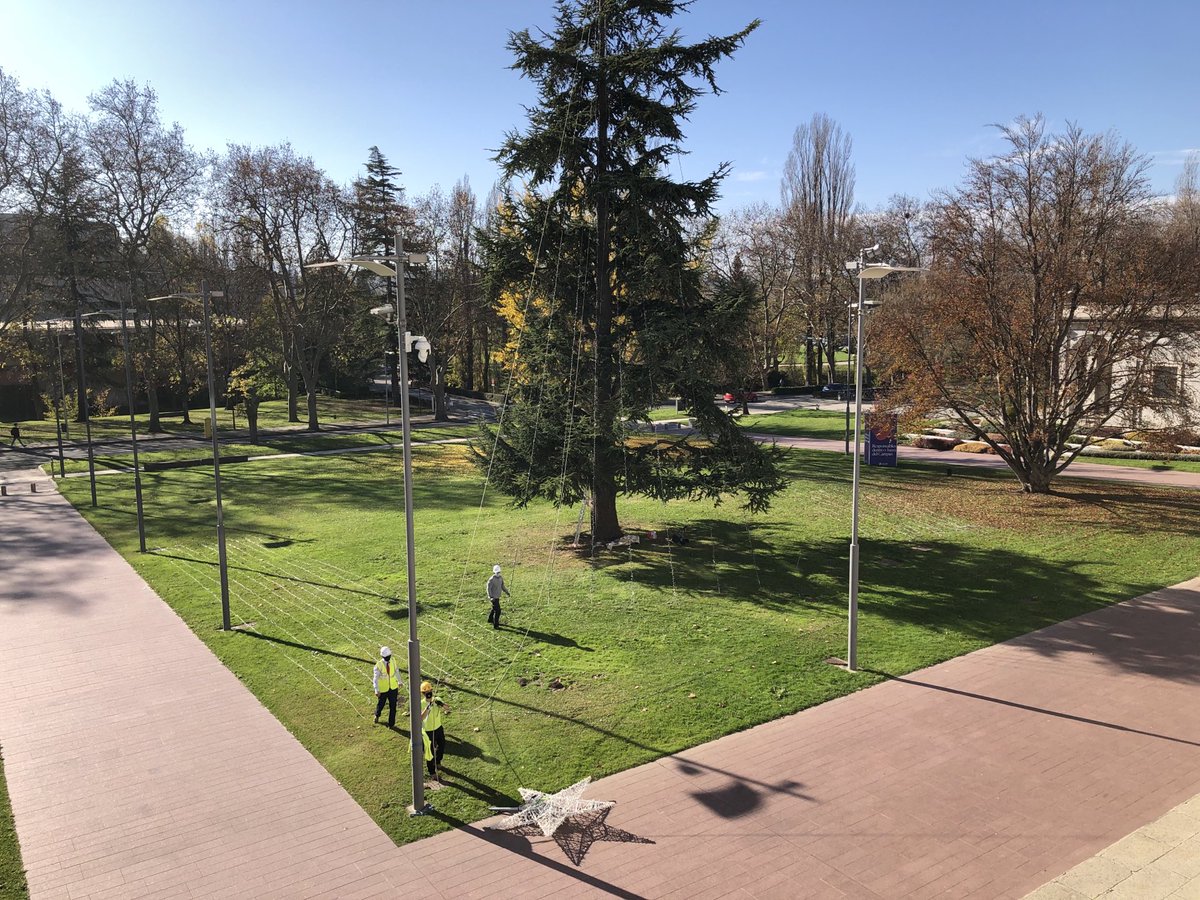 Tomas Gomez-Acebo tweet media