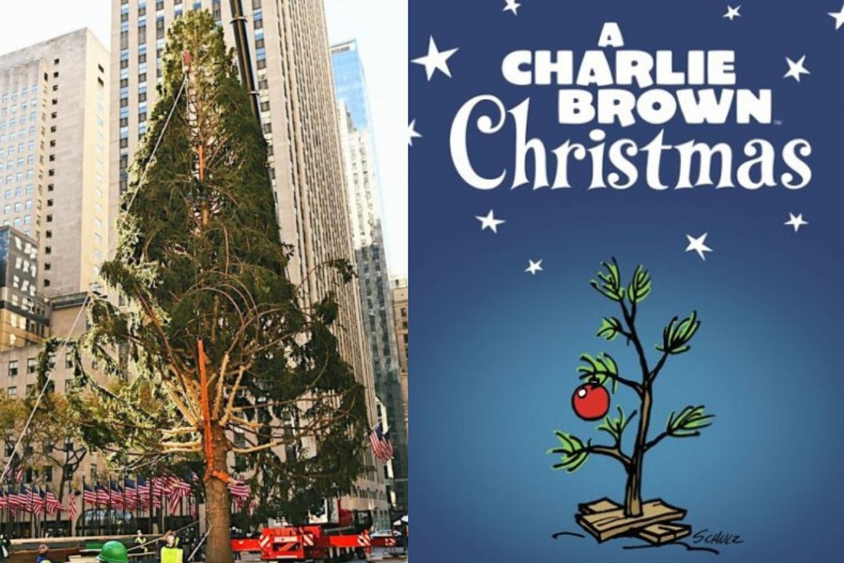 Sad Rockefeller Tree Mocked For Being Ugly Because... Well, 2020: You know it's 2020 when an enormous Norway Spruce is being cyberbullied. Continue reading… dlvr.it/RlxB0C