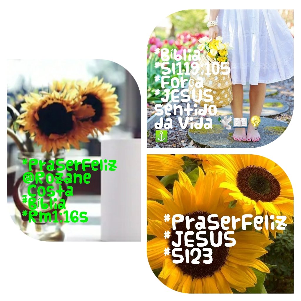 Rozane_Costa's tweet photo. #girassóis #TestemunhoDeJesus #ENfrente #decisão #objetivo #Diferencial #Biblia #Hoje #HistoriaConectadas #ApeloDeDeus @RosaMar14112784
"E disseram um para o outro: Porventura não ardia em nós o nosso coração quando, pelo caminho, nos falava, *(Lc24,28-32) https://t.co/dujiyuOmDb