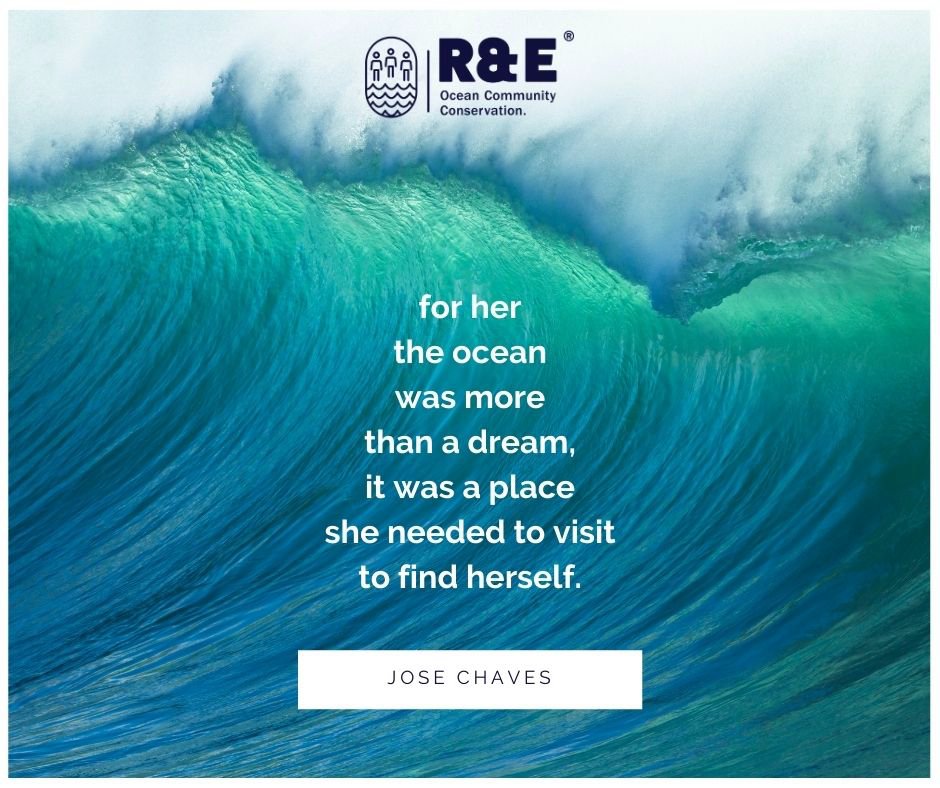 REoceancom's tweet photo. 🌊 Who can relate?

-------
#REoceancom #ocean #marinebiology #oceanconservation #marineconservation #loveocean #loveoceans #loveoceanlife #lovebeach #lovebeachlife #lovebeaches  #conservenature #colombia #pacificocolombiano #pacificocean #chocó #nuquí #bahiasolano https://t.co/KNqe1PRd2E