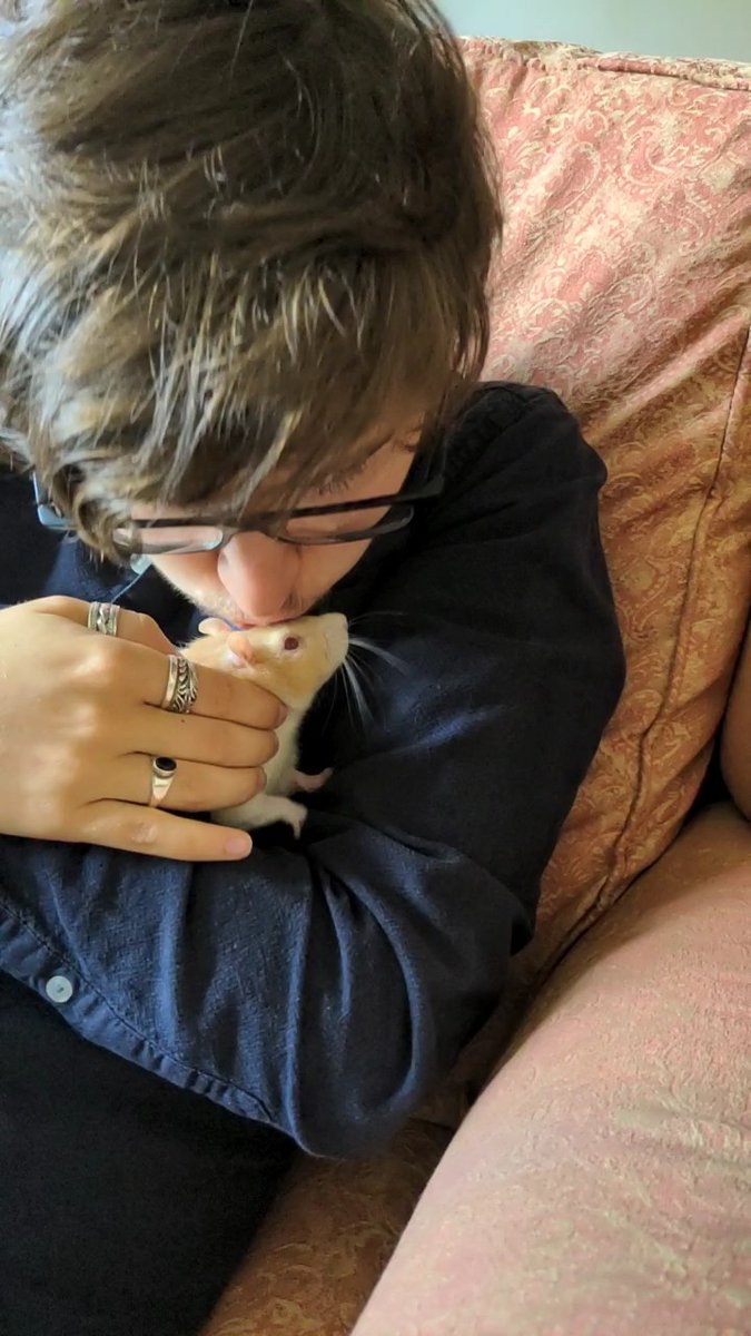 Sometimes I get to look after my friends pets, both large and small.