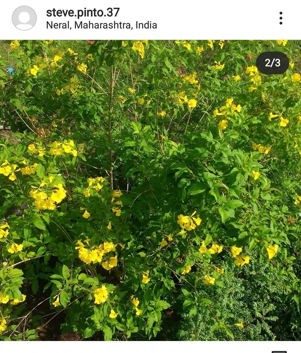 7/nJune 7 and 8th day Disha was murdered!Look at location, Neral (is that where the farm house located?) #AmitShahExpediteSSRCase