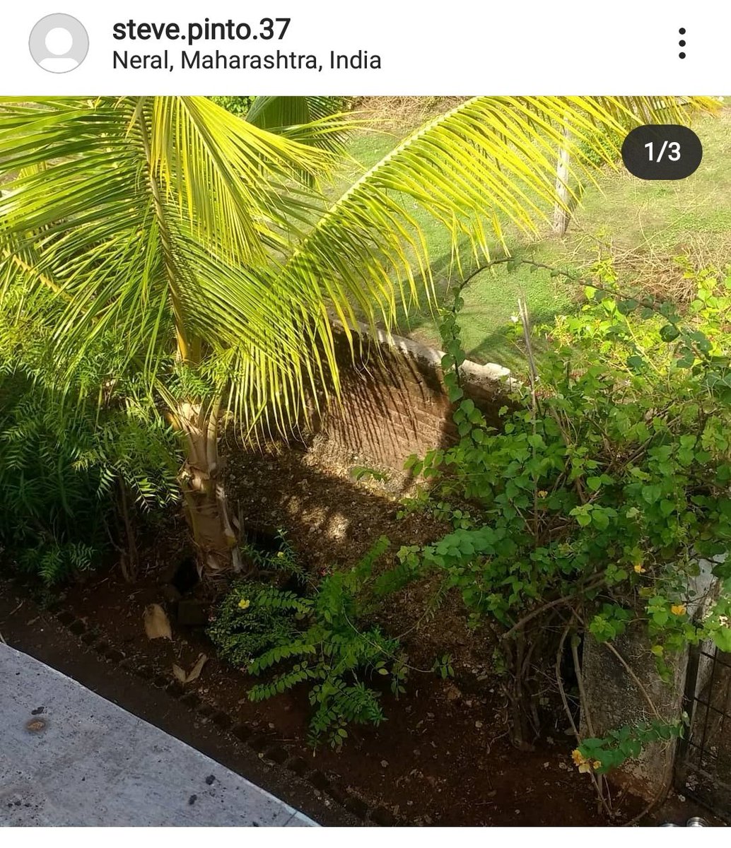 7/nJune 7 and 8th day Disha was murdered!Look at location, Neral (is that where the farm house located?) #AmitShahExpediteSSRCase