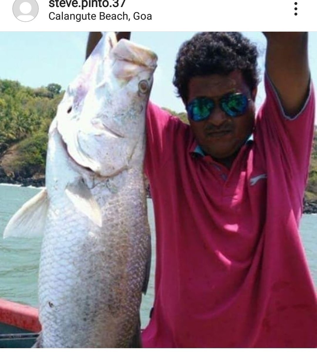 14 last one.May 24. These definitely meant something! #AmitShahJiExpediteSSRCase