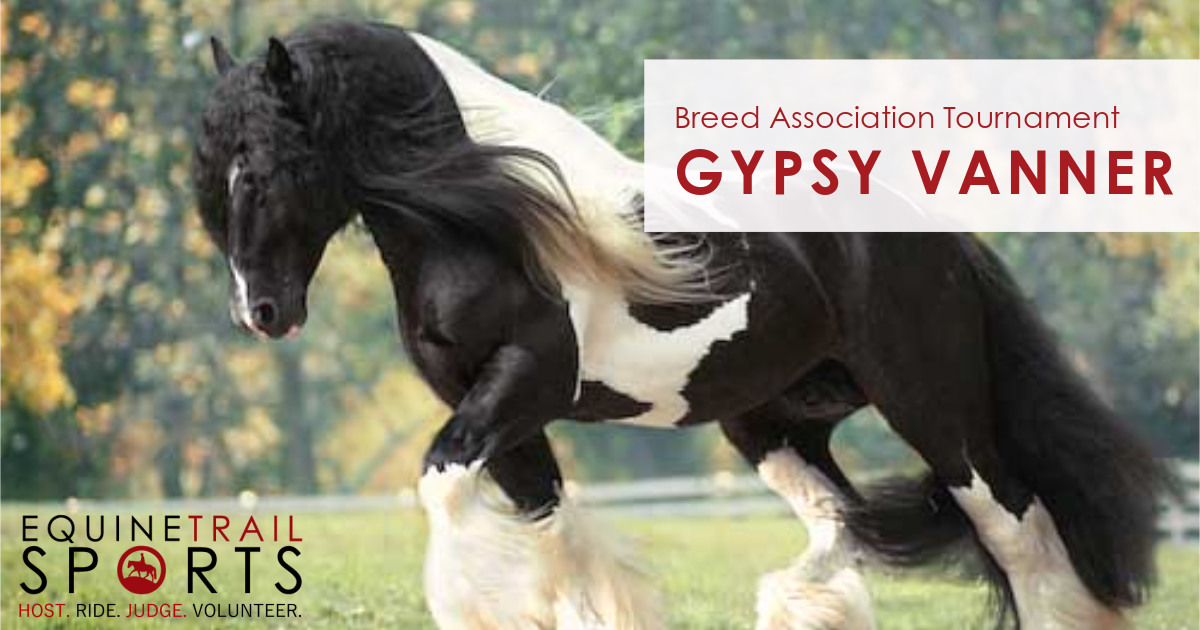 EquineTrail's tweet photo. Check out the Gypsy Vanner Breed Association Tournament!
Info: https://t.co/MHYMsw60mv
#EquineTrailSports #Obstacles #Competitivetrail #trailride https://t.co/xguDCxvhQ8