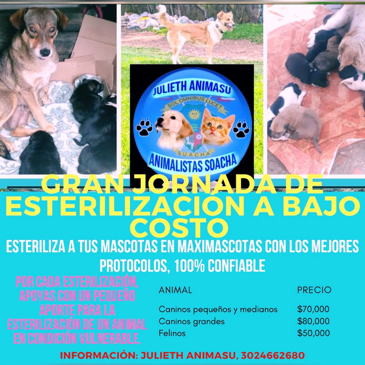 Julieth Animasu animalistas Soacha 🐱 🐾 🐶 tweet media