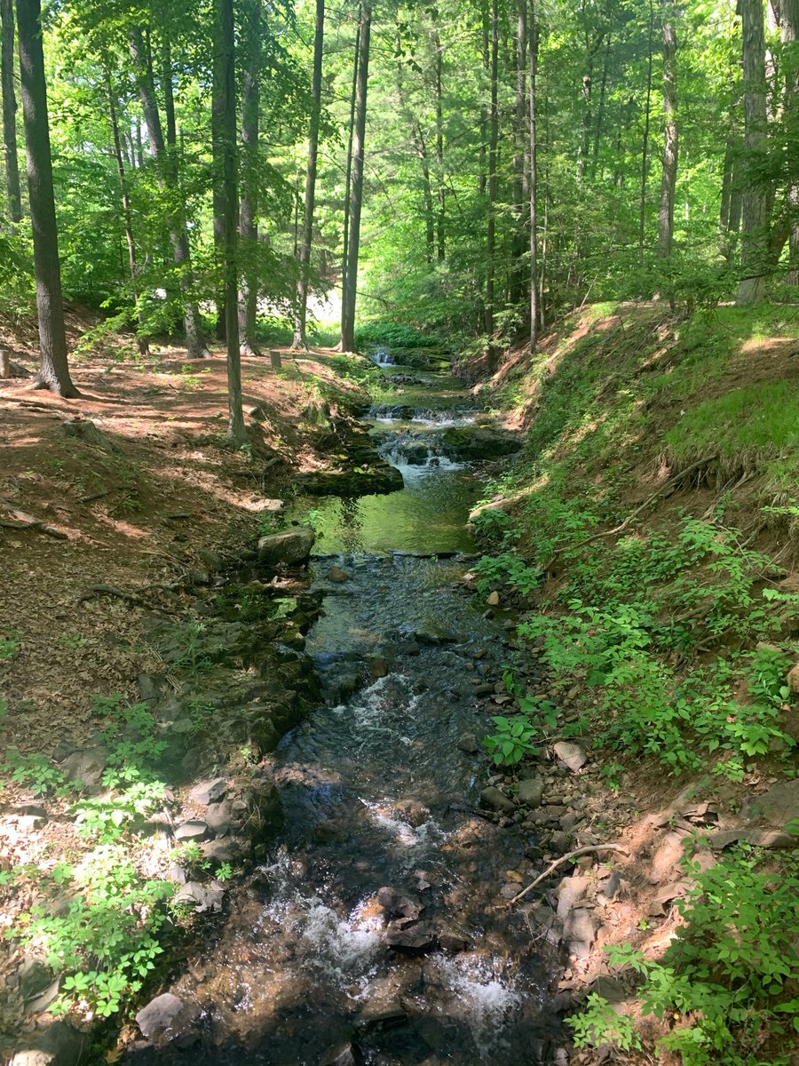 Go to the link in my bio to catch up on new posts. Did you know there is a difference between environmental conservations and preservations? @Nature_NE is an example in CT. Go to the blog to learn more! #wildlifeconservation #preservation #environment #climatesolutions