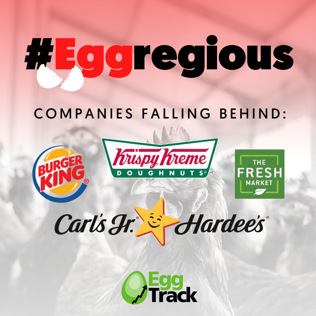 ciwfusa's tweet photo. Recently, we've been giving shout-outs to companies that have made #eggcellent cage-free progress for hens. But unfortunately, others—like @CarlsJr/@Hardees, @krispykreme, @BurgerKing, and @TheFreshMarket—continue to fall #eggregious-ly behind the rest of the flock. 😕 https://t.co/SQ1xvjH66f