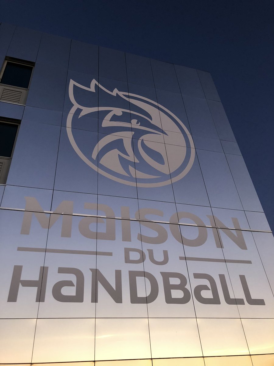 SanaurFrederic's tweet photo. L’@Agence_du_Sport &amp; @FFHB réunissent aujourd’hui les ligues ultramarines de Handball pour définir un plan d’actions qui se déploiera dès les prochaines semaines en faveur du développement du Handball outremer. #psf #emplois #formation #accessionHN #declinaison #guichetunique https://t.co/tt5mH4jMqn