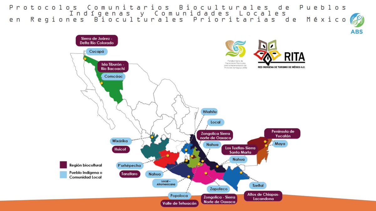 Contribución de #RITA en la facilitación de #ProtocolosComunitariosBioculturales en #México para garantizar los #DerechosIndígenas la #Biodiversidad #ConocimientosTradicionales el reparto justo y equitativo de beneficios  #TheABSweAllNeed 
@UNDPabs @AlexCallejas_L @alacandeira