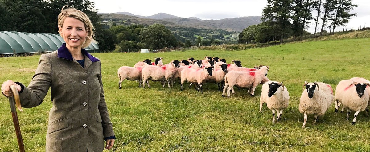 Let's take a virtual trip to Donegal, Ireland. Vistas, food straight from the sea, and of course, sheep. Stream the episode here. samb.tv/2DJoIQ2 #placestolove #travelcomesback