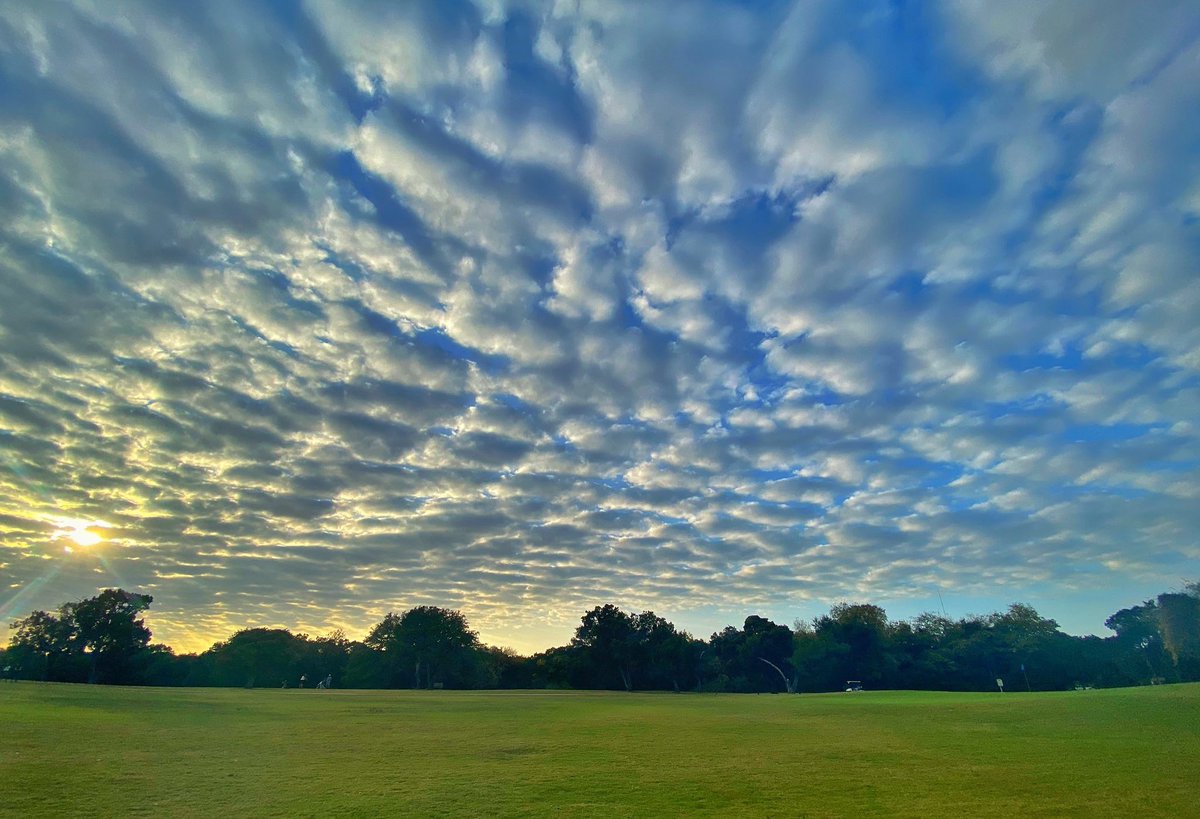 savemuny's tweet image. Another beautiful shot of Lions from @MattGinella’s recent visit. Thanks for sharing Matt! 
#saveMuny #Austin #golf