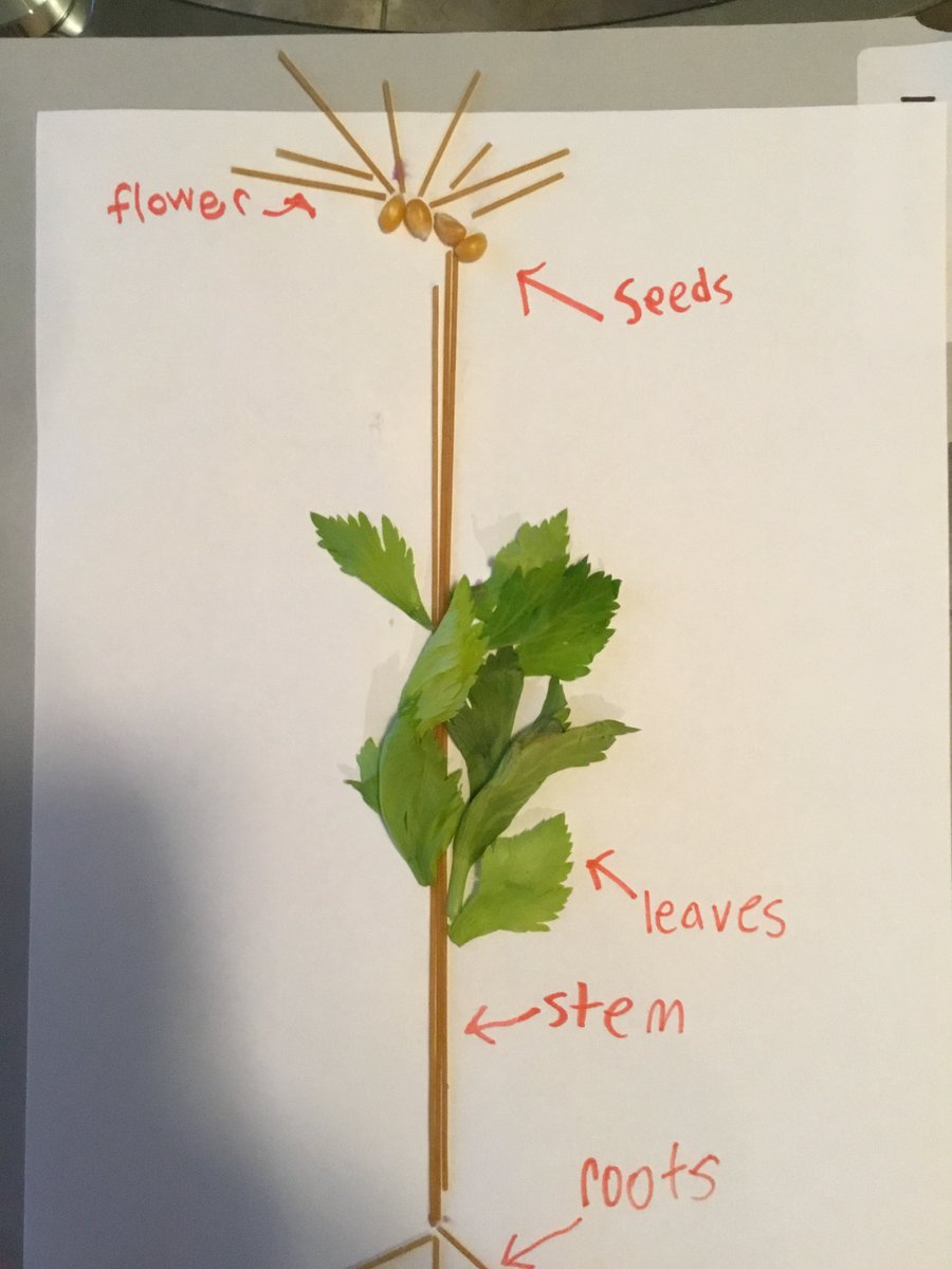 Mrs. Creel tweet media