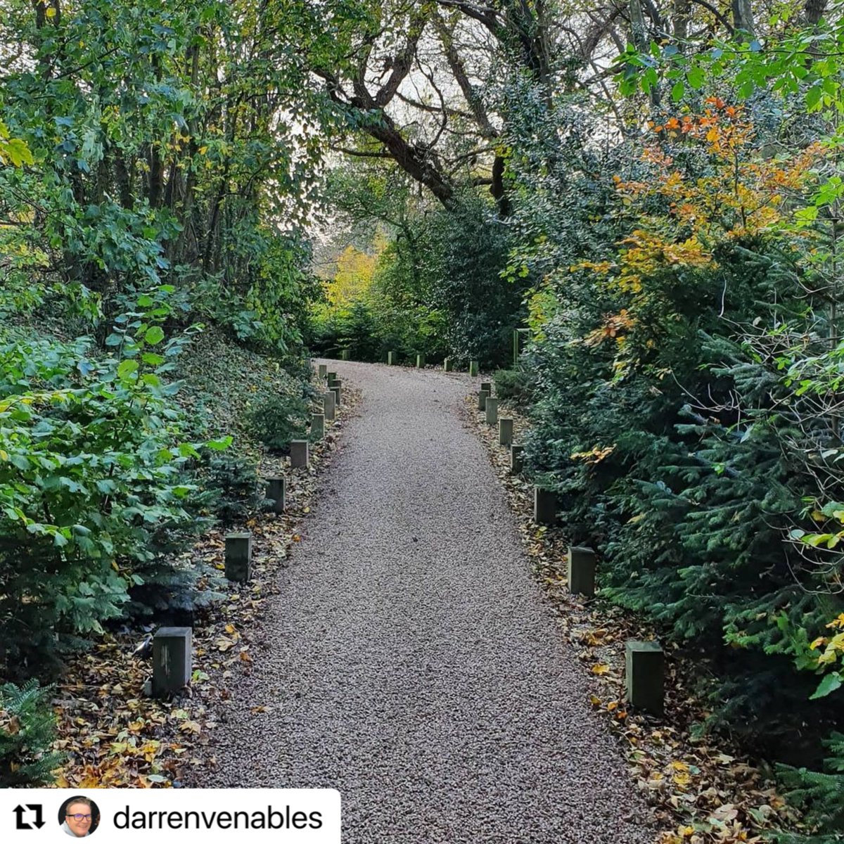 Who has been down the treehouse pathway? We've been busy resurfacing it during the lockdown and it's looking great! 🌳 Thanks for sharing <a href="/darrenvenables/">Darren Venables</a>