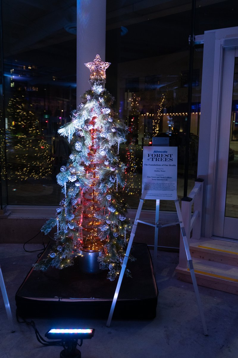 MentalHealthNS's tweet photo. From the @Advocate1891 #ForestofTrees,"The Foundations of our Health" Designed by Pam Tower & Nicole LeBlanc of @TowerInteriors Donated by @HalifaxWater who's proud to be part of the Festival of Trees presented by @RBC supporting @MentalHealthNS #FOT2020 1/2 https://t.co/MaIV9bvIX5