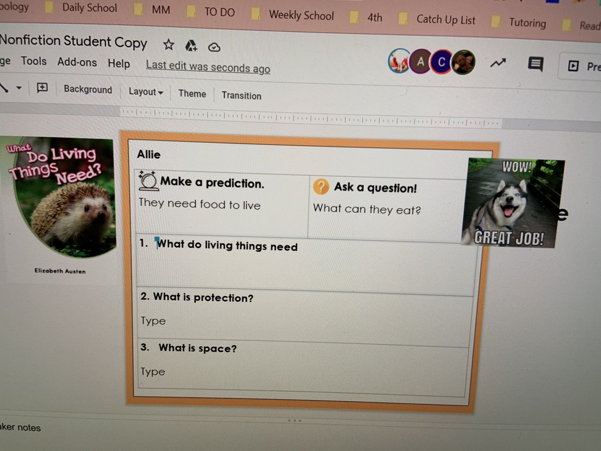 Katherine Montera tweet media