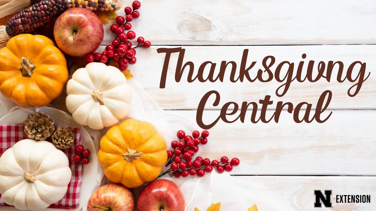 #Thanksgiving2020 will probably look different for many of us. If you are you are cooking your first Thanksgiving meal or need some tips and new ideas, we’ve got it: food.unl.edu/thanksgiving #NebExt