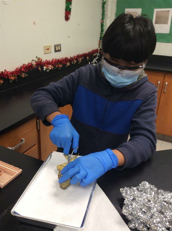RRodriguez_Math's tweet photo. Students are dissecting this week @ETWrennMS. Thank you @SimmsHann for organizing this Science Lab while maintaining social distancing and following safety protocols. Students are really enjoying it!
#Relentless #Face2Face https://t.co/vGhZkwnREf