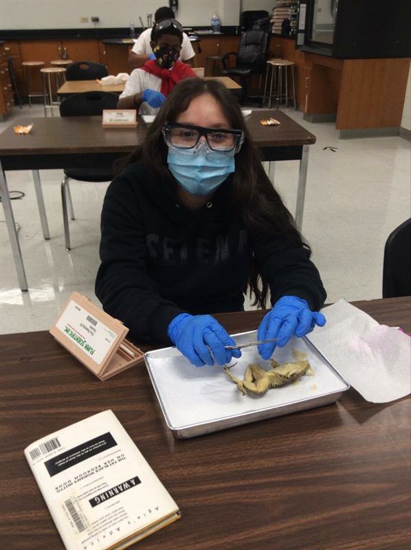 RR (@rrodriguez_math) on Twitter photo Students are dissecting this week <a href="/ETWrennMS/">E.T. Wrenn Middle School</a>. Thank you <a href="/SimmsHann/">diahann simms</a> for organizing this Science Lab while maintaining social distancing and following safety protocols. Students are really enjoying it!
#Relentless #Face2Face Students are dissecting this week <a href="/ETWrennMS/">E.T. Wrenn Middle School</a>. Thank you <a href="/SimmsHann/">diahann simms</a> for organizing this Science Lab while maintaining social distancing and following safety protocols. Students are really enjoying it!
#Relentless #Face2Face