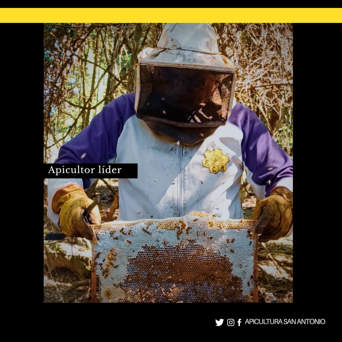 Apiculturasapy's tweet photo. ¡Nos presentamos! 🐝🖤💛

Como equipo estamos convencidos de que los verdaderos frutos de esta noble labor están en la satisfacción de brindar calidad y un mensaje de concienciación ambiental.

Sabemos que dependemos netamente de la naturaleza (sigue) https://t.co/OOIybbkaBH
