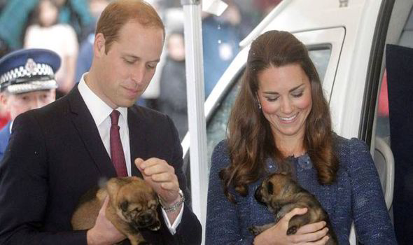 The Duchess of Cambridge visiting New Zealand #WorthTheWorld