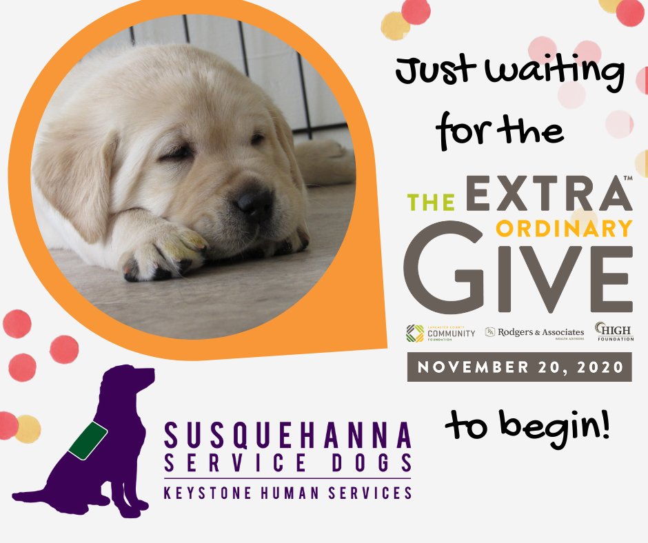 SSDOGS's tweet photo. It's almost time for the #ExtraGive! It's this Friday, November 20 and we challenge you to make it the best day of giving for Susquehanna Service Dogs that there has ever been!
Visit https://t.co/dOVyO9pdMn to #GiveExtra! https://t.co/mngHajxYzE