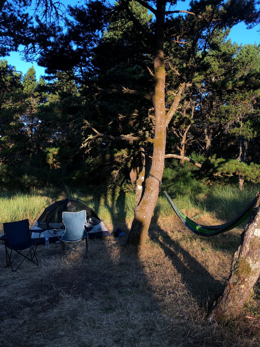 PublishingRead's tweet photo. During this pandemic, I've found comfort in nature. I’ve been spending lots of time outdoors whether it's biking, hammocking, or going on camping adventures with my partner. I've found that it's so vital for me to get a bit of sun each day! - @odochiakwani https://t.co/eMUMFRR9hI