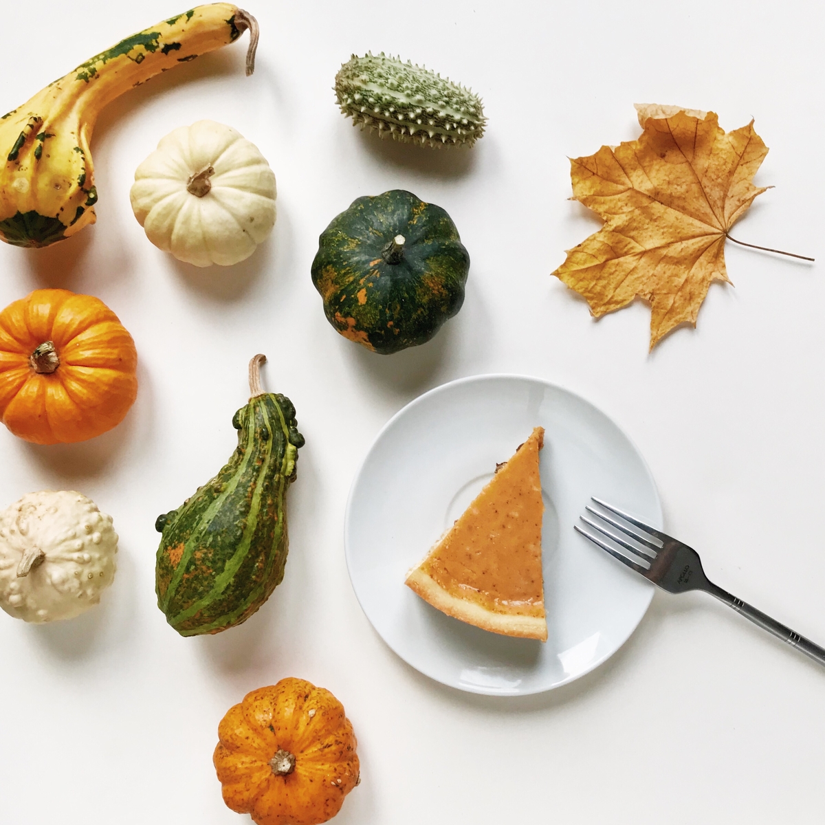 RCBacaraSB's tweet image. Enjoy a slice of the good life with festive fun all week long, including Mason Jar Luminary, Holiday Card Making, Fall Candlemaking, and Movie Night. Learn more: bit.ly/RCBacaraHolida…
