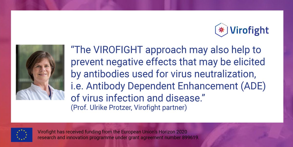 virofight's tweet image. The #VIROFIGHT approach addresses the lack of a broadly applicable #AntiviralTreatment that also reduces the risk of negative effects which may be elicited by current treatments used for #VirusNeutralization as the #AntibodyDependentEnhancement through #AntiviralAntibodies.