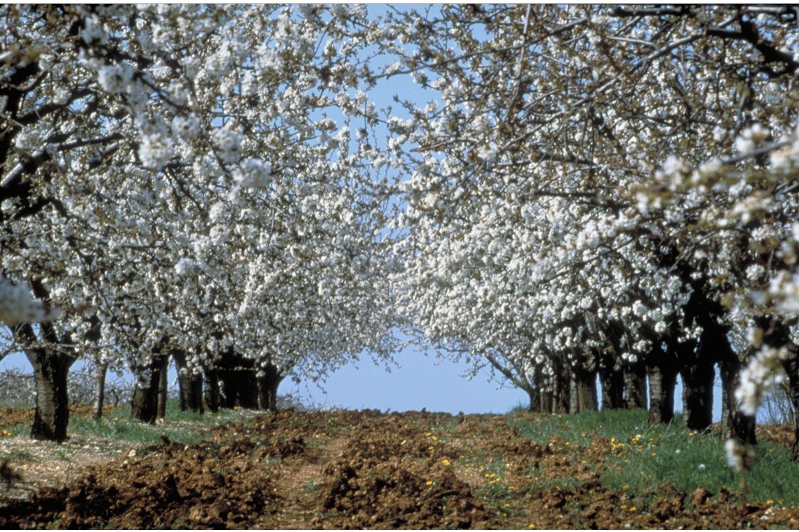 [Invitation webinaire] Le 26 nov., P. Bertuzzi <a href="/INRAE_France/">INRAE</a> parlera du changement climatique, de son impact sur l'agriculture, comment celle-ci s'adapte et à un rôle dans l'atténuation du CC. Inscription gratuite app.livestorm.co/inrae-16/chang…