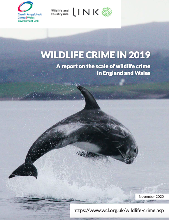 Are you clued up on Wildlife crime?Wildlife and Countryside Link and Wales Environment Link have recently released their latest report on wildlife crime across England and Wales, which can be read here:  https://www.wcl.org.uk/docs/Link_Annual_Wildlife_Crime_Report_06.11.20.pdf