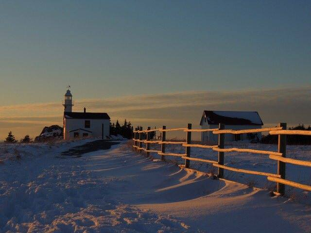 RamonaJennex's tweet photo. One of the many things that makes me happy is following @stan_sdcollins of Rocky Harboour, NL @NLtweets  Here is one of his photos he posted a few years back. #beautyinsimplethings #generousheart https://t.co/atDTdqfaKT