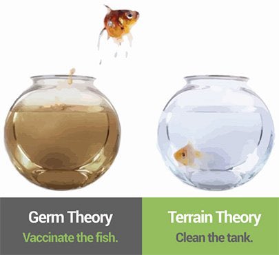 natureboyrr's tweet photo. @morgan_philbin @angie_rasmussen Just ask you follow science, Nature, what is. The ‘party line’ among experts has little do with reality IMO.  It’s akin to #immunesystemdeniers 

Not following data, outcome, the science papers @gerdosi + @FatEmperor share. No learning from SARS, MERS. Sadly new dark age of fear. https://t.co/zO9XXMhCkm