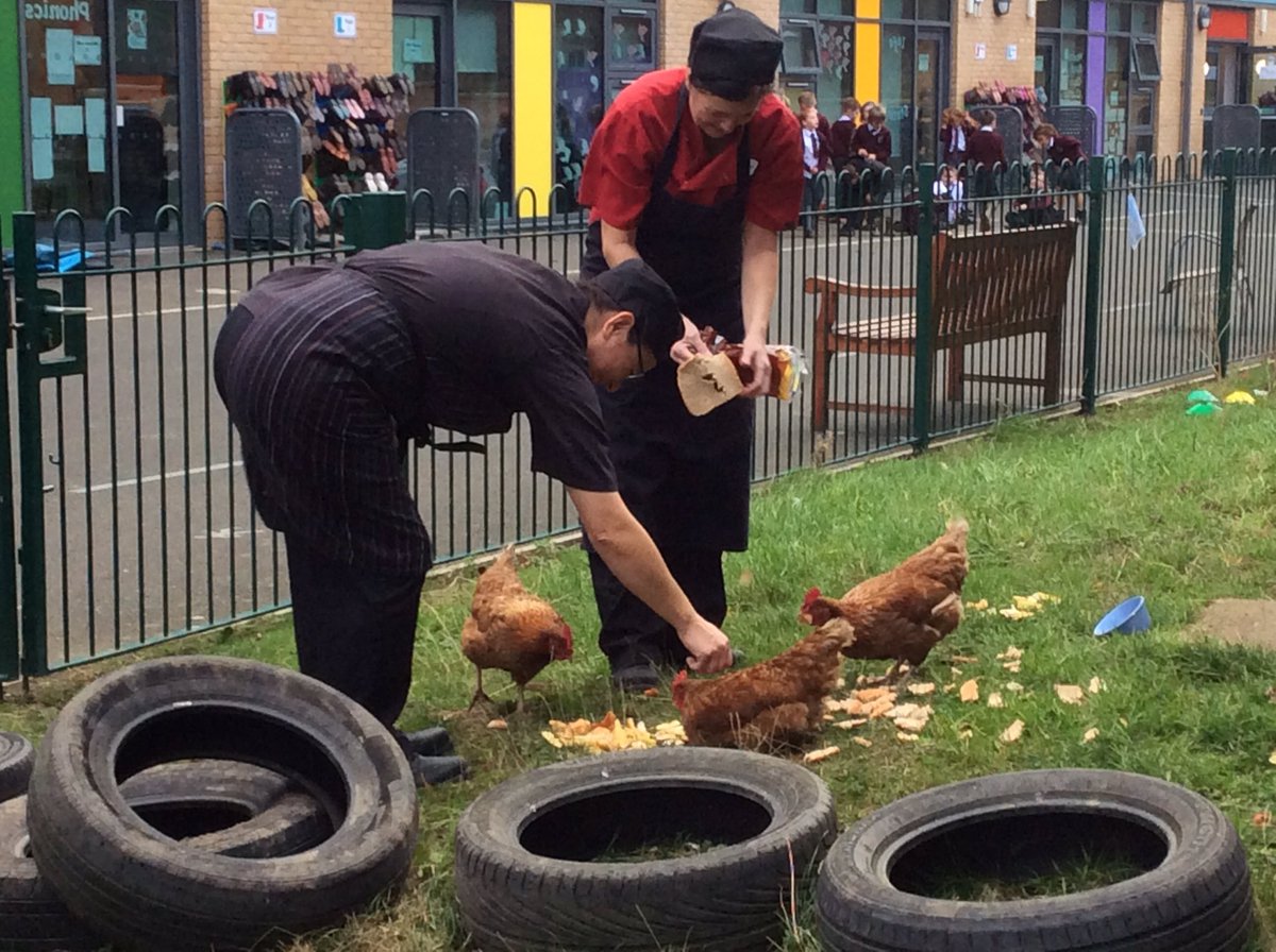 RavensworthTer's tweet image. The best fed chickens in town! @ChickensofR