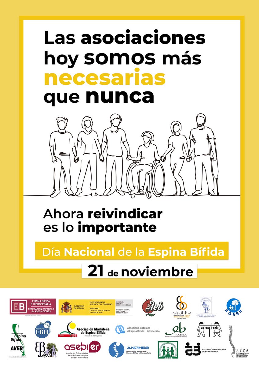 FEBHI_ORG's tweet photo. Este año recordamos el importante papel de nuestras asociaciones con motivo del Día Nacional de la #EspinaBífida q celebramos el 21/11. 
Día reconocido como tal, por parte del Consejo Interterritorial del Sistema Nacional de Salud @sanidadgob @DSocialesGob en 1997 #DiaNacionalEB https://t.co/zKR6iKsnxX