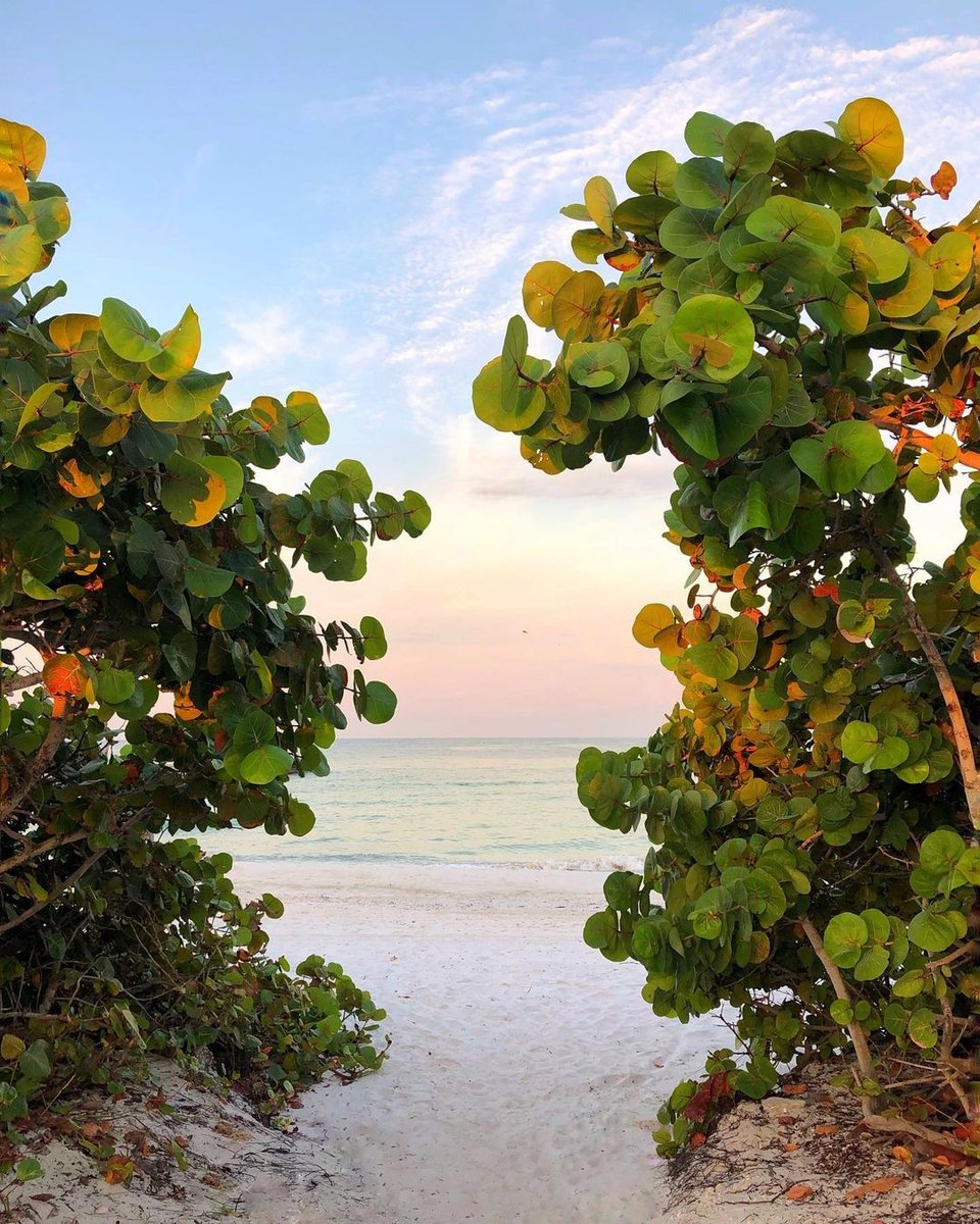 "Life takes you down many paths, but my favourite ones lead to the beach" 🌴 #beachlifemindset #beachdays⁠
photo: @followmetolongboatkey ⁠
#coquinabeach #stpetebeach⁠