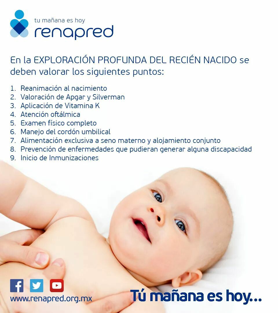 En la #ExploraciónProfundaDelReciénNacido se deben valorar los siguientes puntos. #4AccionesRenapred #TuMañanaesHoy. Para más información visita: renapred.org.mx