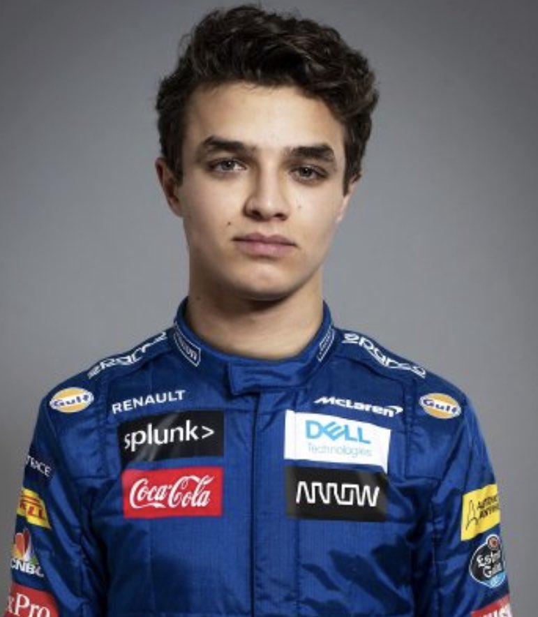 lando norris - icelandic sheepdog