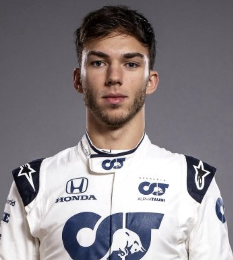 pierre gasly - lagotto romagnola