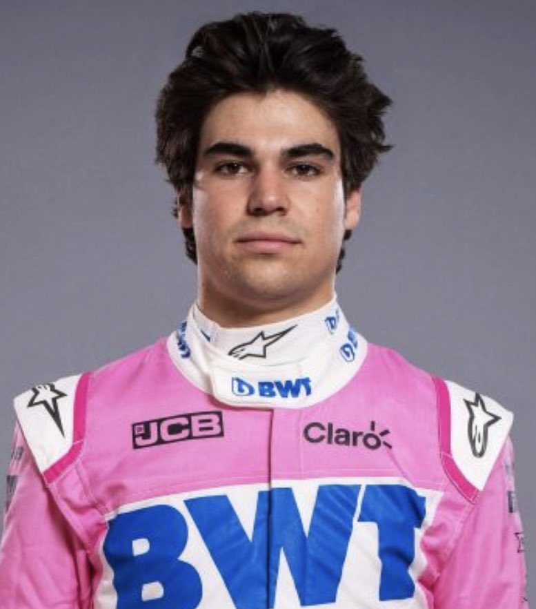 lance stroll - portuguese water dog