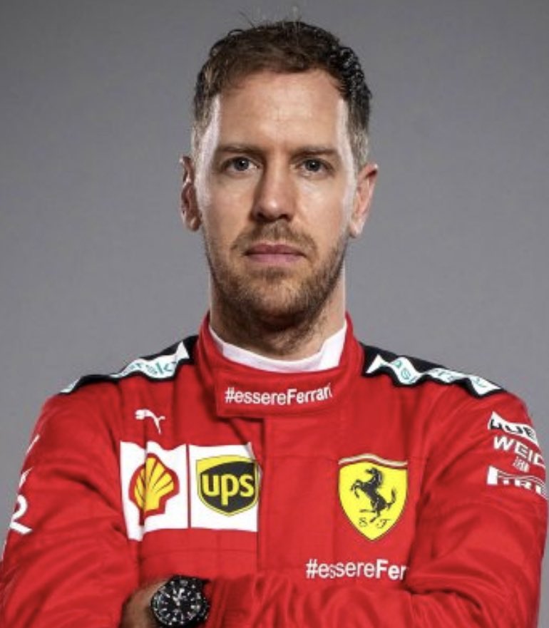 sebastian vettel - basset fauve de bretagne